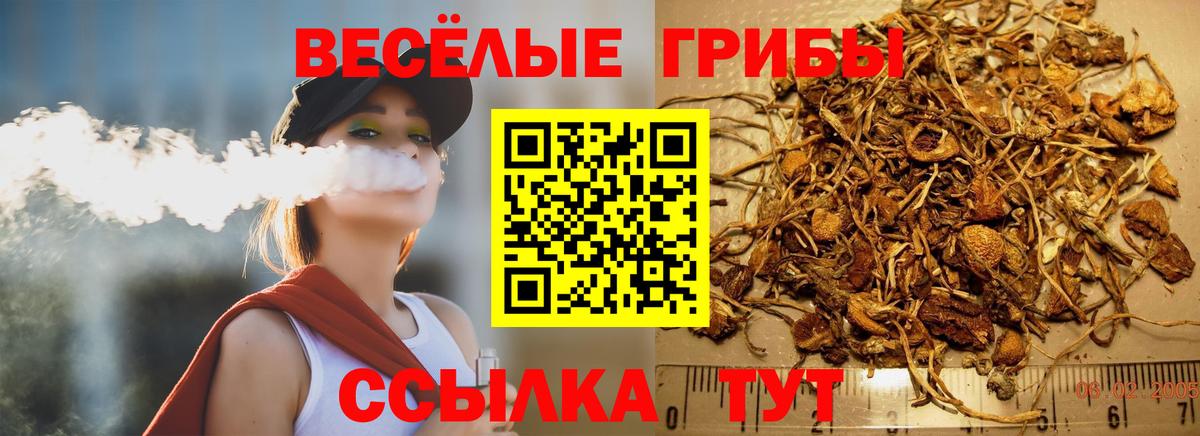 Псилоцибиновые грибы Psilocybe  Вход с VPN  Асино 